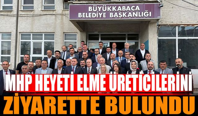 Büyükkabaca'da Dolu Zararı: MHP Heyeti Çiftçileri Ziyaret Etti