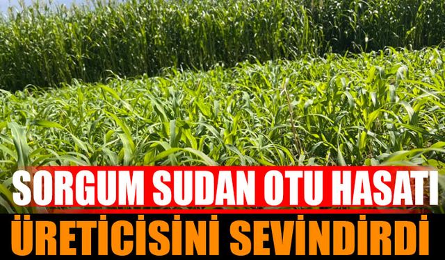 Çiftçilere %75 Hibeli Sorgum Sudan Otu Desteği