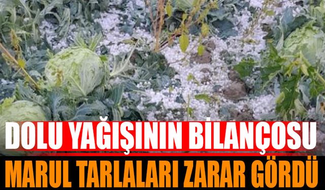 Senirkent'te Dolu Felaketi: Elma ve Marul Tarlaları Yıkıldı