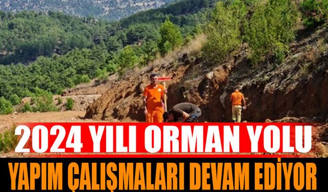 2024 Yılı Yol Yapım Çalışmaları Devam Ediyor