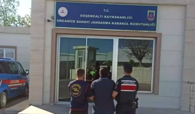 Antalya'da Jandarma Ekiplerinden Büyük Operasyon