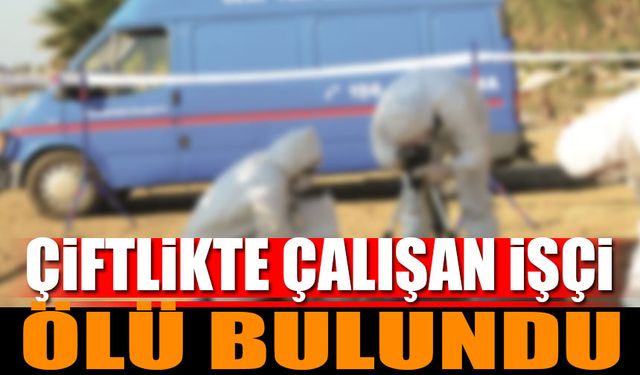 Çiftlikte Çalışan İşçi Ölü Bulundu