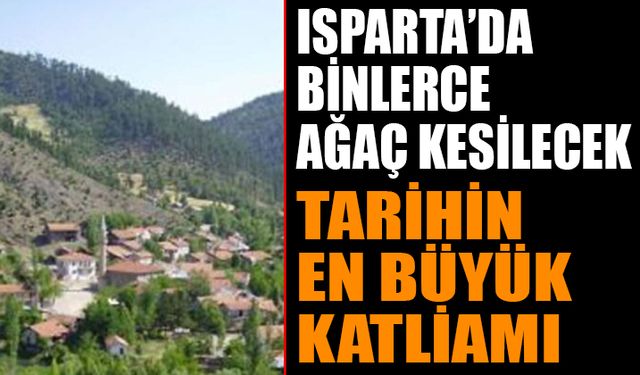 Isparta'da Tarihin En Büyük Ağaç Katliamı Yaşanacak