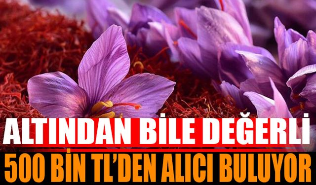 Eğirdir'de Altın Değerinde Bitki: 500 Bin Liradan Satılıyor