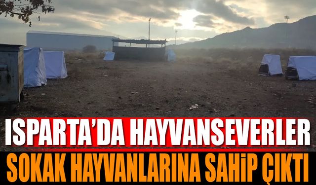 Isparta’da hayvanseverler, soğuk kış günlerinde sokak hayvanlarını unutmadı