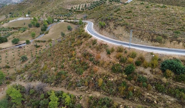 Manavgat’ta Yanan Alanlar Yeniden Sonbahar Renklerine Büründü