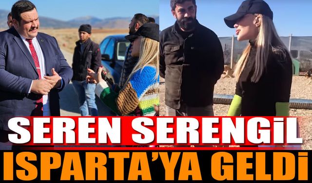 Seren Serengil Sokak Hayvanları için Isparta'da