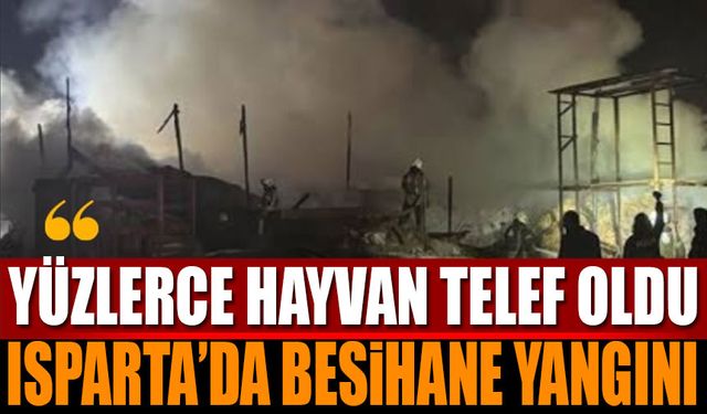 Isparta'da Besihane Yangını Yüzlerce Hayvan Telef Oldu