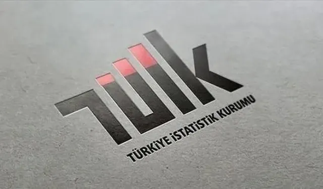 Türkiye'nin Gelir Dağılımı İstatistikleri Açıklandı