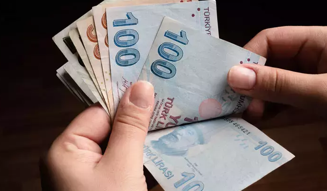 560 Euro'yu Kapın! 2025 Destek Ödemesi Başvurusunda Neler Yapmanız Gerekir?