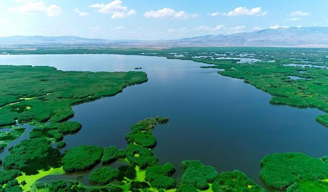 Jandarma Eber Gölü’nü Yakmaya Çalışan Şahsı Yakaladı