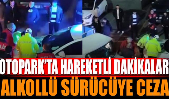 Alkollü Sürücü Park Halindeki Araca Çarptı