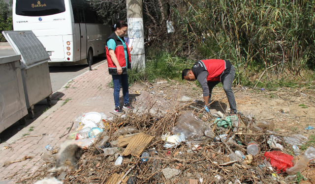 Antalya’da Kedi Ölümleriyle İlgili İnceleme Başlatıldı