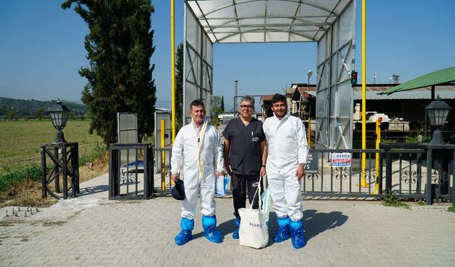 Akademiden Sahaya! MAKÜ, Ege Bölgesi'nde Süt Sığırcılığına Yerinde Destek Veriyor