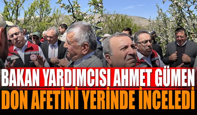 Bakan Yardımcısı Gümen'den Senirkent’e İncelemelerde Bulundu