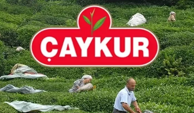 ÇAYKUR 2025 İşçi Alımı Başlıyor! 1500 İşçi Alımı Başvuru Tarihi, Şartları ve Kadro Dağılımı Belli Oldu
