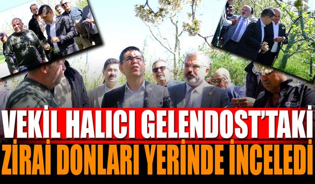 CHP Heyetinden Gelendost’ta Zirai Don Ziyareti