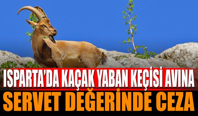 Isparta’da Kaçak Yaban Keçisi Avına 960 Bin TL Ceza
