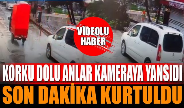Yola Devrilen Ağaç Felakete Neden Oluyordu