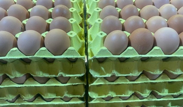 Yumurta Fiyatlarında Düşüş Başladı: “Mayıs Çukuru” Etkili Oluyor