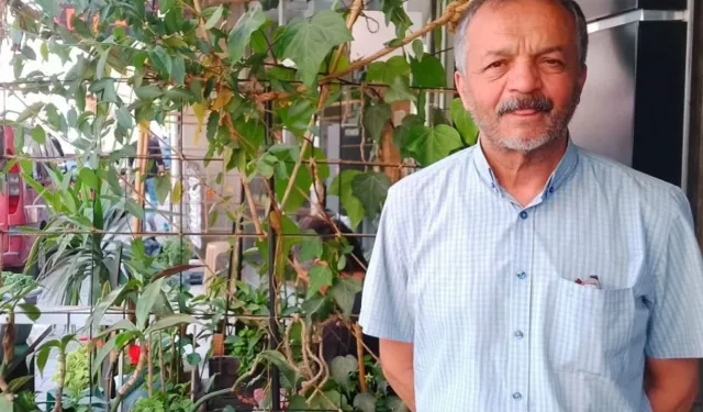 Zirai Don Üç Kesimi Birleştirdi: “Çiftçi, Pazarcı, Tüketici Aynı Anda Mutsuz”