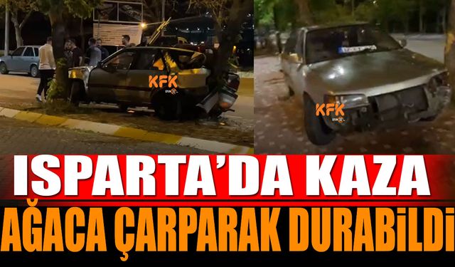 Isparta'da Kaza Ağaca Çarparak Durabildi