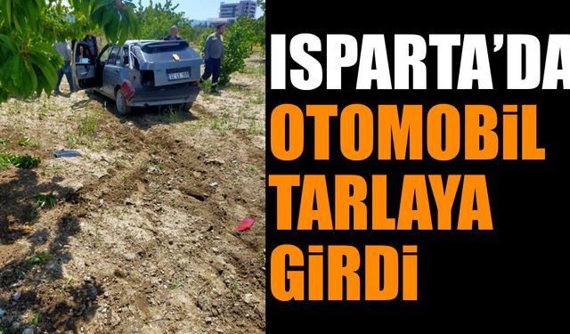 Isparta'da kontrolden çıkan araç tarlaya girdi