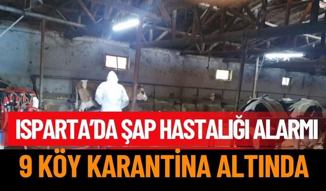 Isparta'da Şap Hastalığı Alarmı: 9 Köy Karantina Altına Alındı