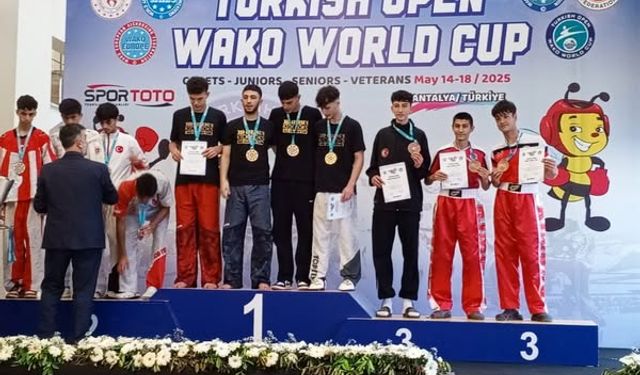 Şarkikaraağaç Anadolu Lisesi Öğrencisi İlyas İpek, Dünya Üçüncüsü Oldu