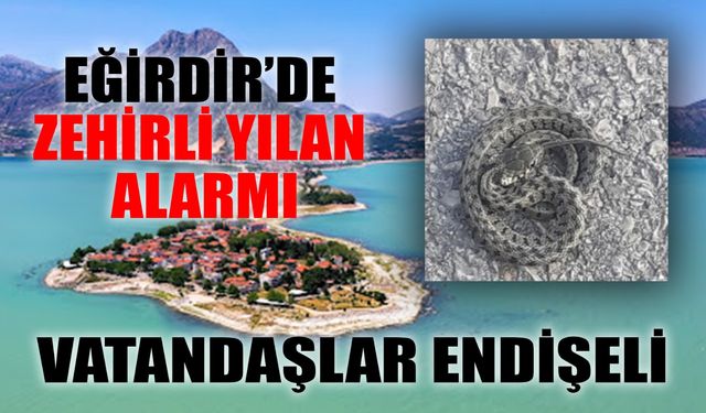 Eğirdir’de Zehirli Yılan Alarmı: Vatandaşlar Endişeli
