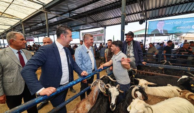 Kurban Pazarı Ziyareti: Başkan Ercengiz Esnaf ve Vatandaşla Buluştu