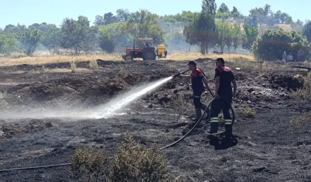 Burdur Örencik’te Yangın! 5 Dönümlük Ceviz Bahçesi Kül Oldu
