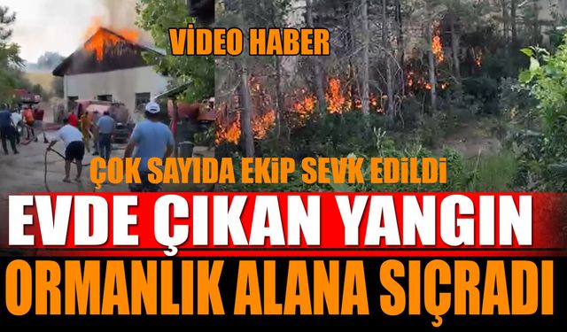 Son Dakika! Eğirdir'de Feci Yangın