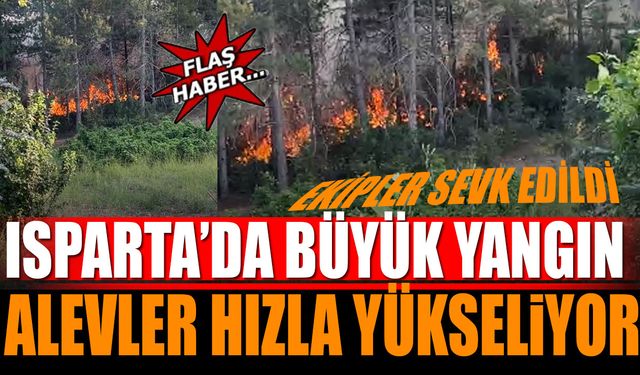 Son Dakika..! Isparta'da Yangın! Alevler Hızla Büyüyor