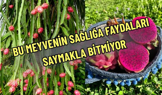 Bu Meyvenin Sağlığa Faydaları Saymakla Bitmiyor