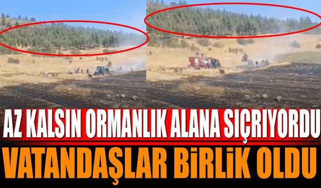 Isparta'da yangın ormanlık alana sıçramadan kontrol altına alındı
