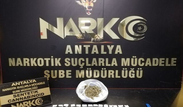 O Mahalle İçin Zombi Alarmı