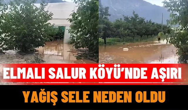 Elmalı Salur Köyü’nde Aşırı Yağış Sele Neden Oldu
