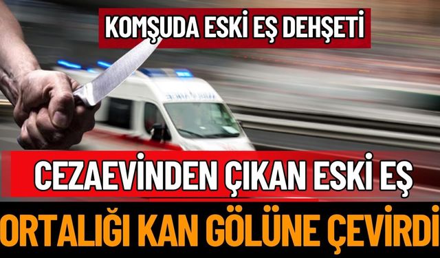 Cezaevinden Çıkan Eski Eş Kan Döküldü