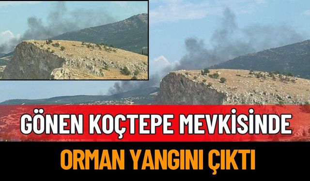 Gönen Koçtepe Mevkisinde Orman Yangını Çıktı