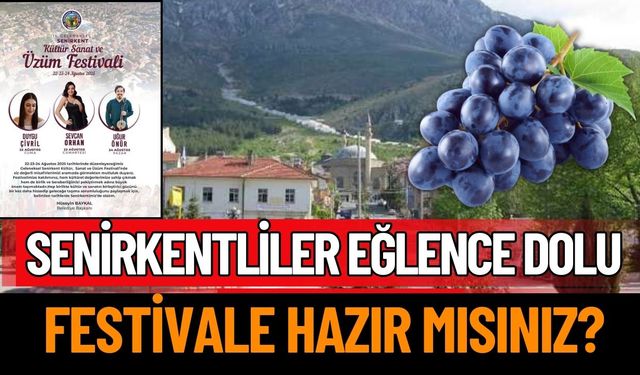 Senirkent’te Kültür, Sanat ve Üzüm Festivali Düzenlenecek