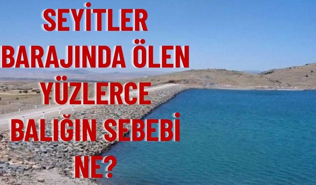 Seyitler Barajı’nda Balık Ölümleri Endişe Yarattı
