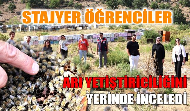 Stajyer öğrenciler arı yetiştiriciliğini yerinde inceledi