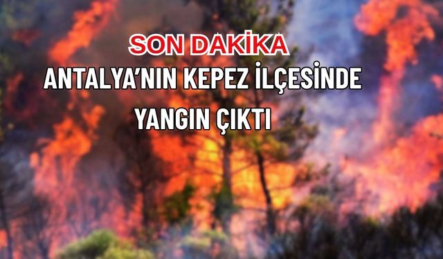 Son Dakika: Antalya Kepez’de Orman Yangını
