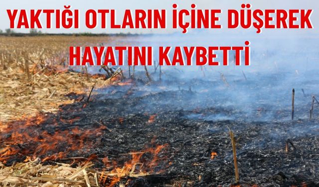 Afyonkarahisar’da Ot Yangını Faciası