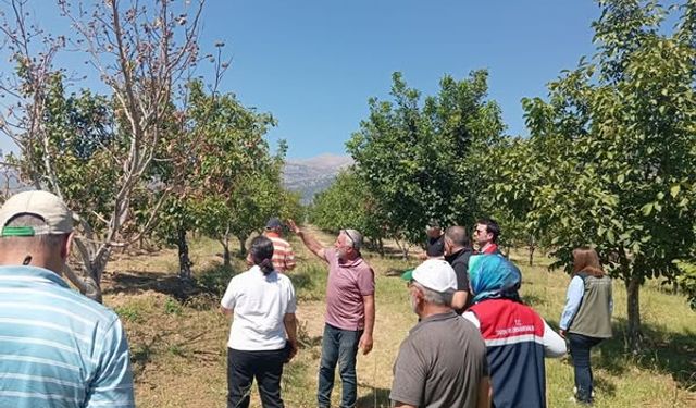 Dinar’da çiftçilere ceviz hastalıkları eğitimi verildi