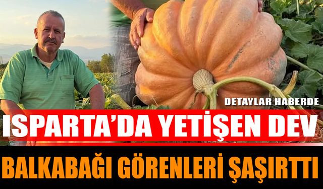 Isparta’da Yetişen Dev Balkabağı Görenleri Şaşırttı