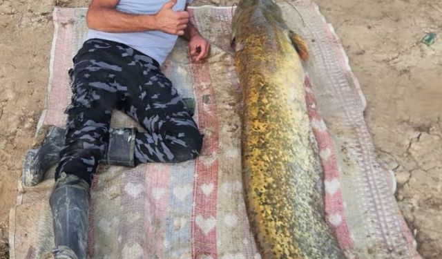 Yalvaç’ta Amatör Balıkçıların Oltasına 42 Kilo Yayın Takıldı