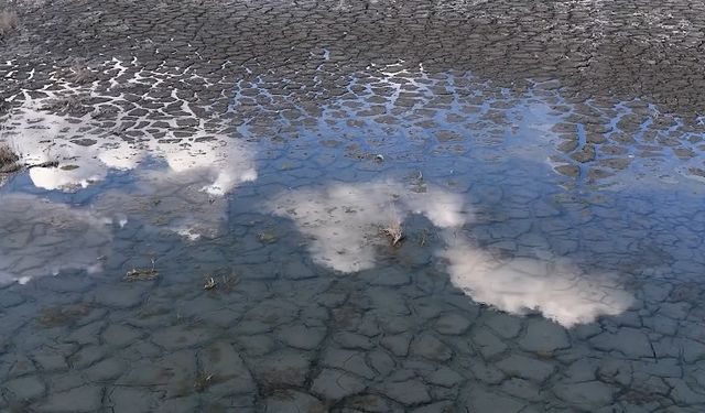 Kuraklık Artık Bugünün Gerçeği: Yüzde 35 Azaldı
