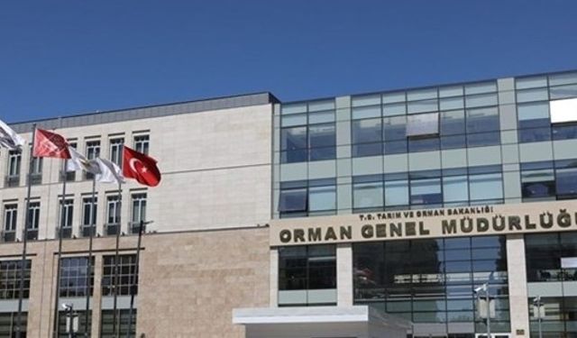 Orman Genel Müdürlüğü 262 Daimi İşçi Alıyor